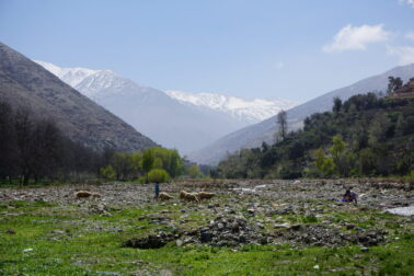 En herde vallar sina får