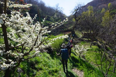 Vi vandrar på små stigar längs terassodlingarna