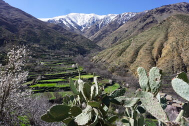 Frodigt och kargt på samma gång