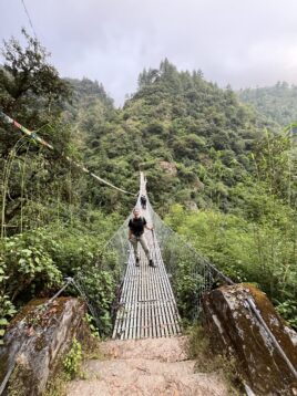 På lägre höjder grönskar det