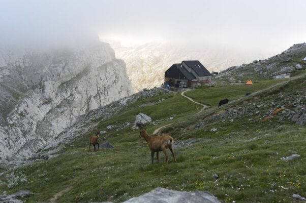 Tystnad och lugn bland bergen