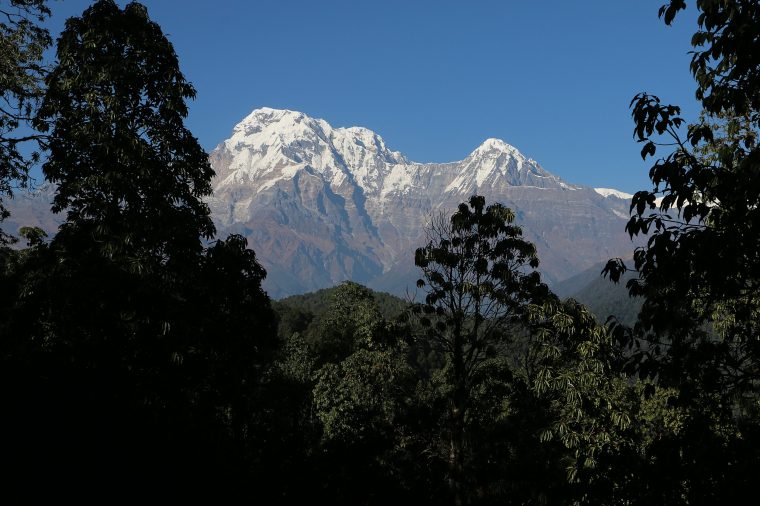 Under flera dagar följer vi smala, vindlande stigar genom magiska rhododendron- och ekskogar