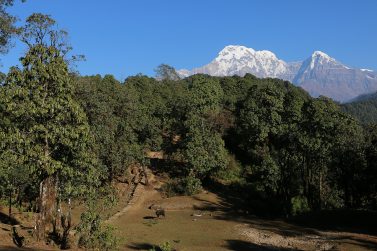 Under turen bor vi på enkla tea-house där vi också äter frukost och middag