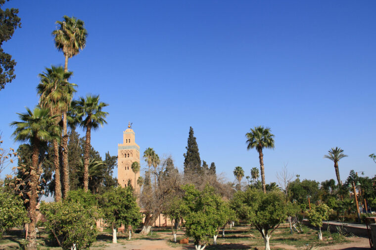 Vi avslutar resan med att besöka Marrakech